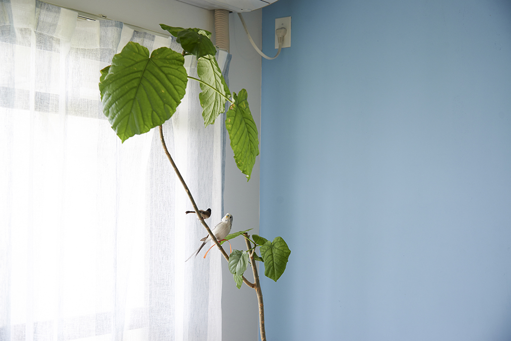 団地のなかの小学校