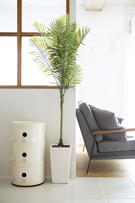 “白”のパズル