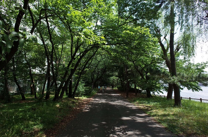 京浜運河緑道公園