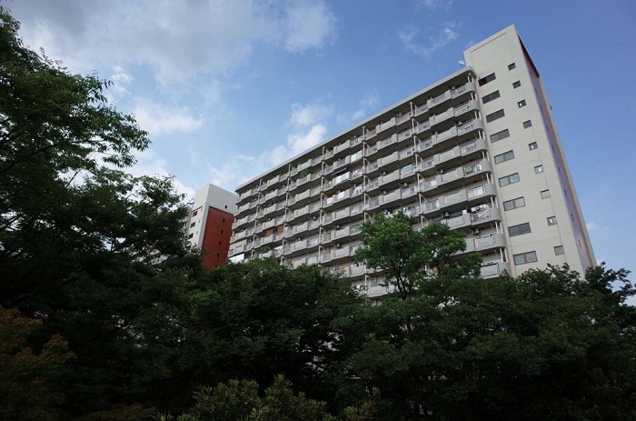 光が丘パークタウン 大通り北