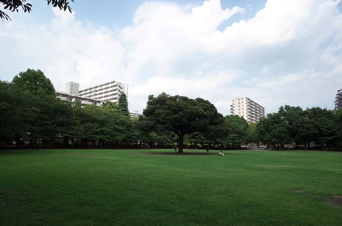夏の雲公園