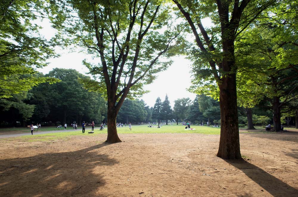 代々木公園