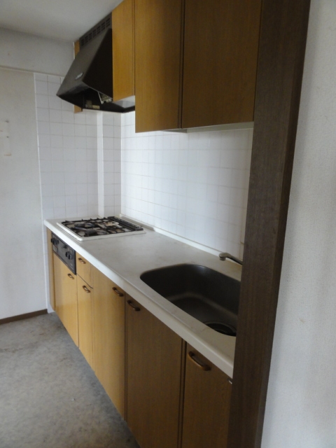 趣味と実用を両立!回遊動線が便利なペニンシュラ型キッチン_before