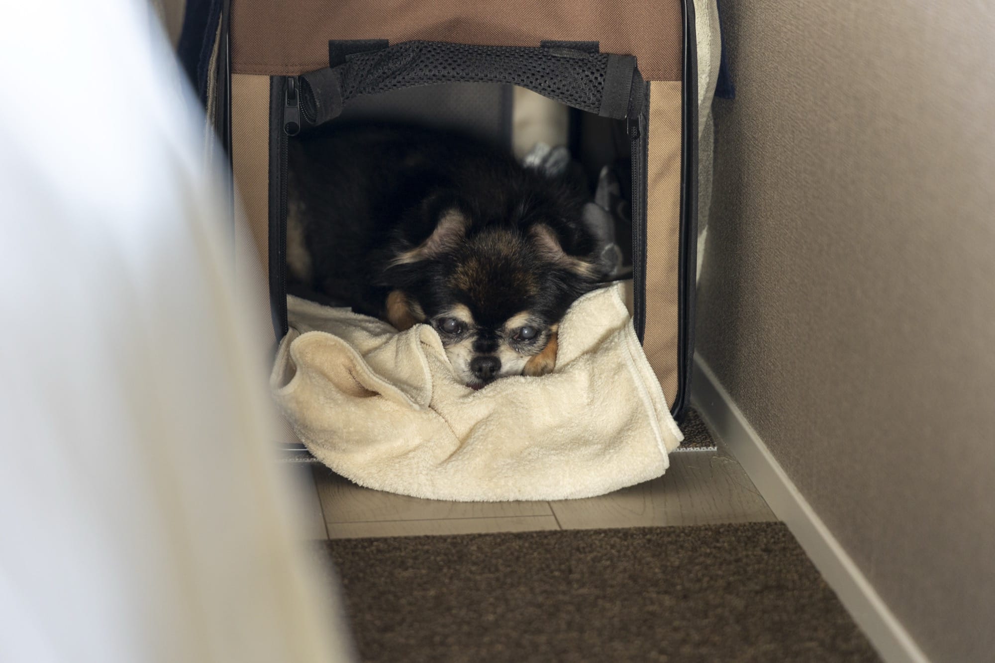 いまを活かし、これからを重ねる